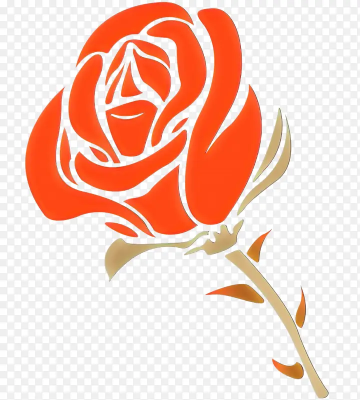 ��ͨ ��ɫ ��ɫ-������