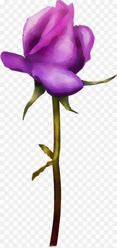 ˮ�ʻ� ���� ʪī-������