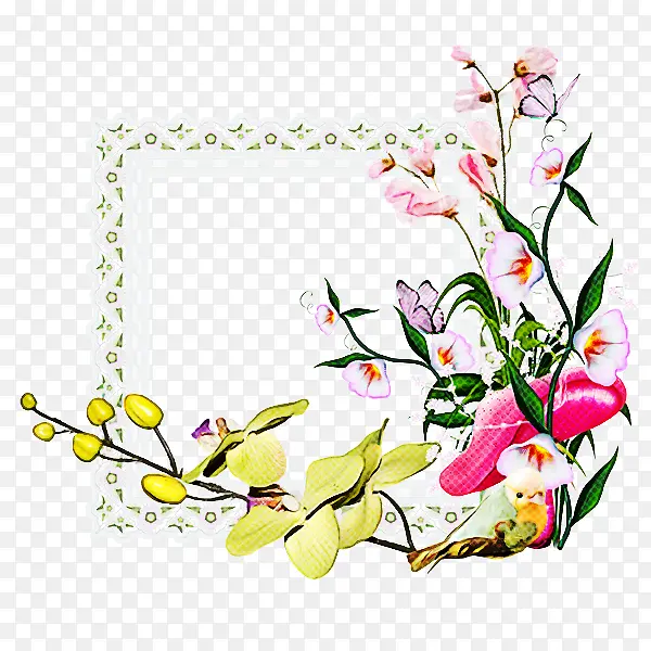 �� ��֦ ֲ��-������