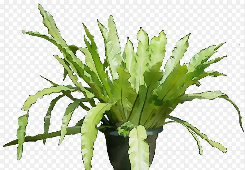 ˮ�� ���� ʪī-������