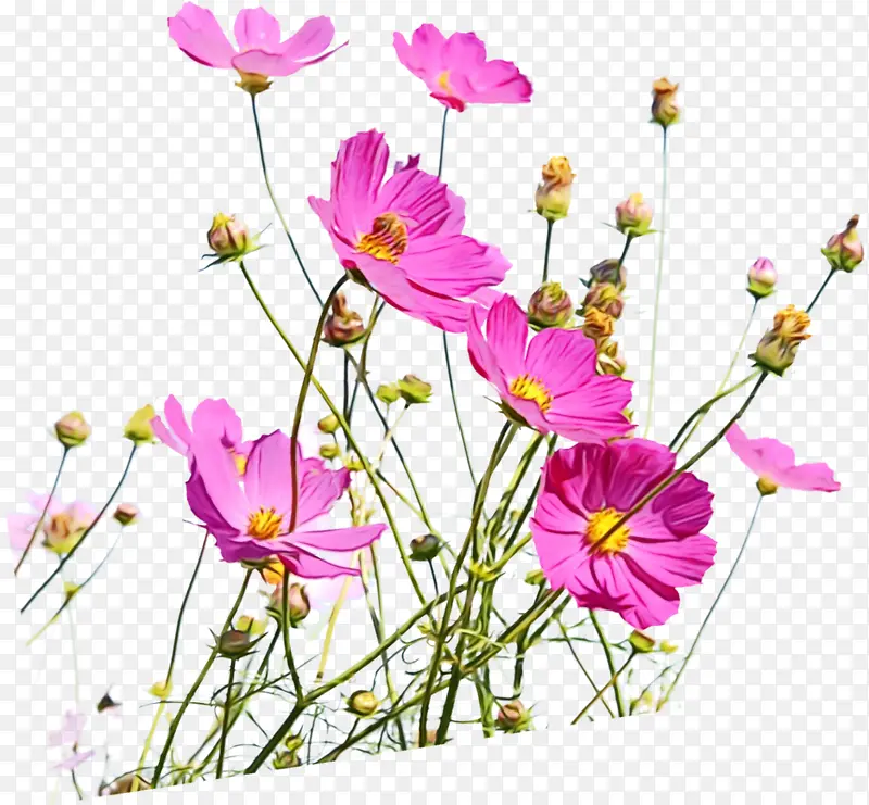 ˮ�� ���� ʪī-������