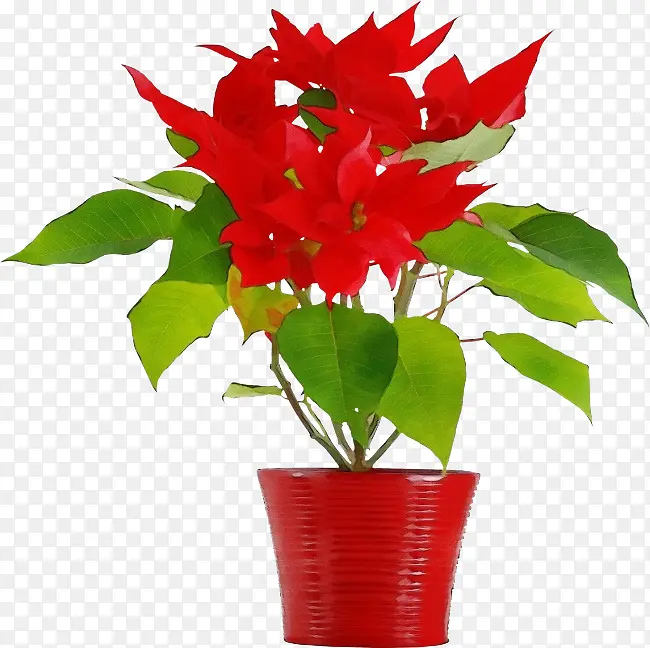 ˮ�ʻ� ���� ʪī-������