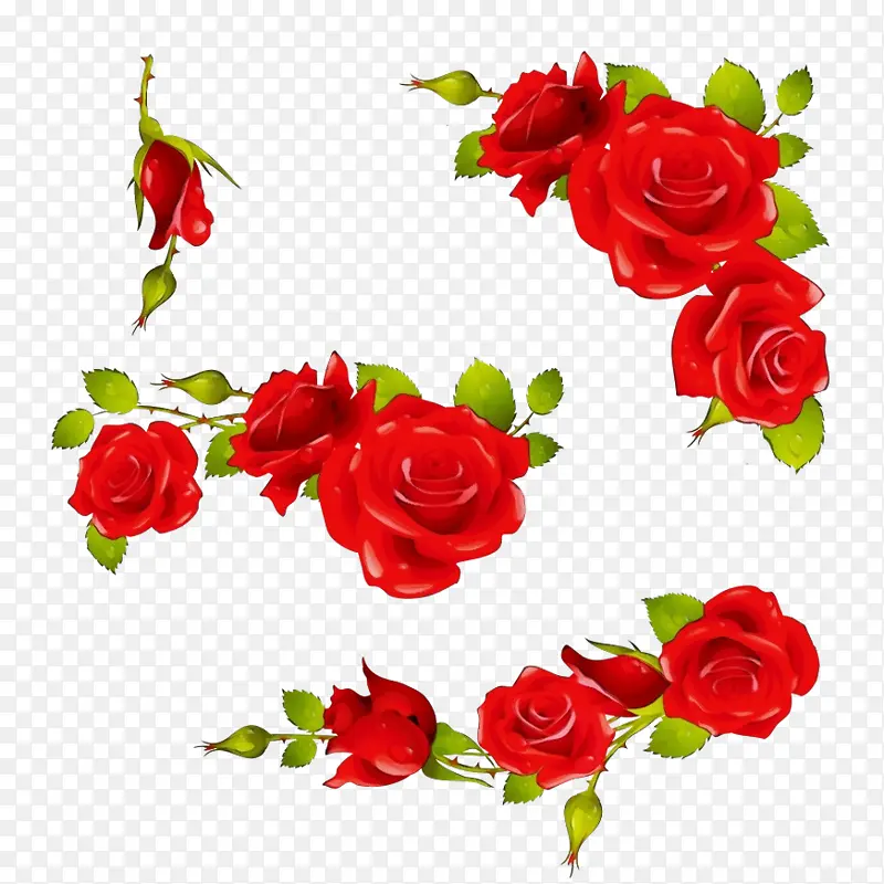 ˮ�ʻ� ���� ʪīˮ-������