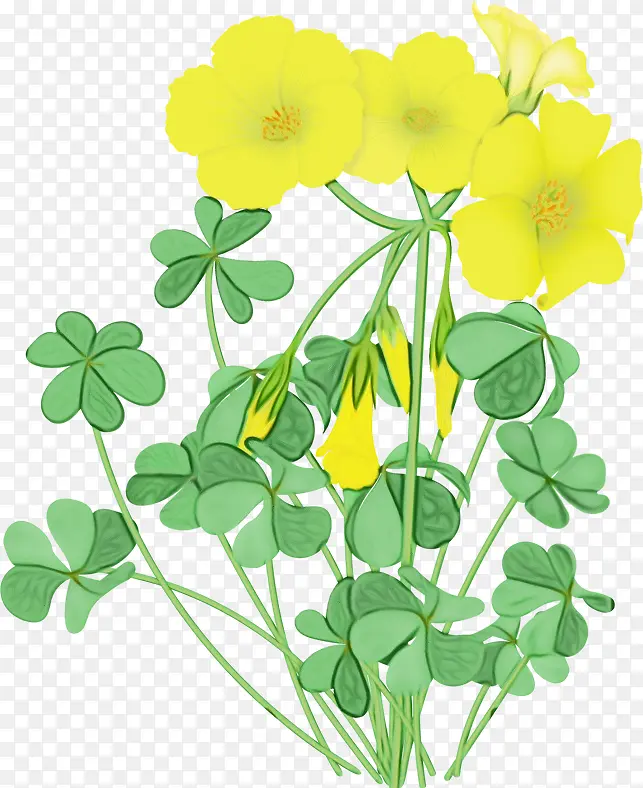 �ɹ���Ʒ��ɫ ֲ�� ˮ�ʻ�-������