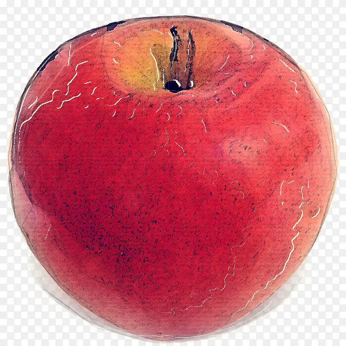 ˮ�� ƻ�� ֲ��-������