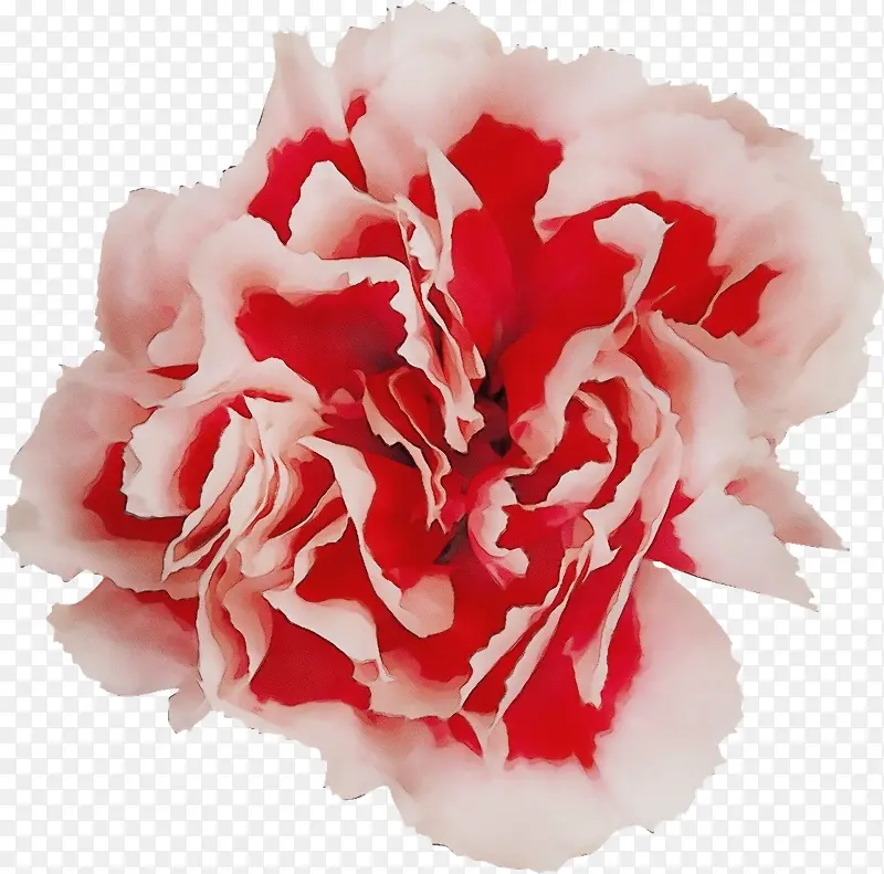 ˮ�� ���� ʪī-������