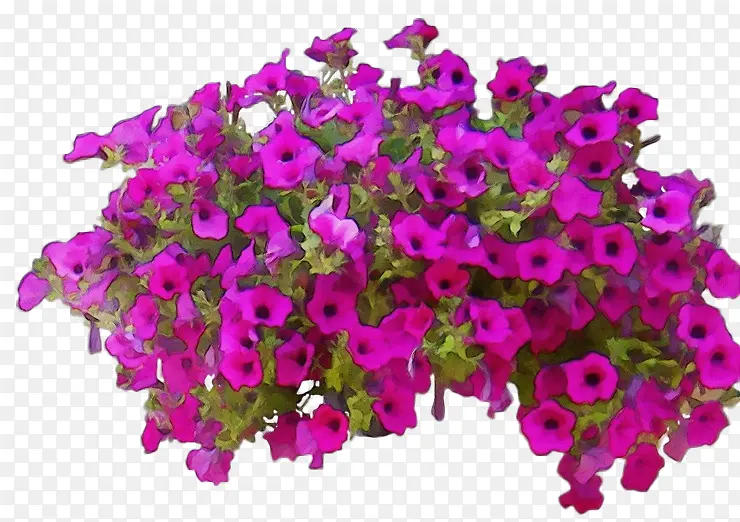 ˮ�ʻ� ���� ʪī-������