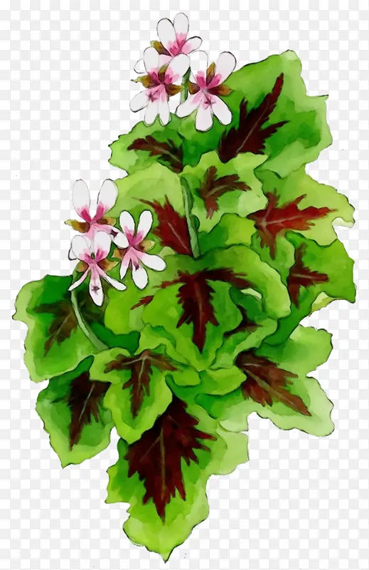 ˮ�� ���� ʪī-������