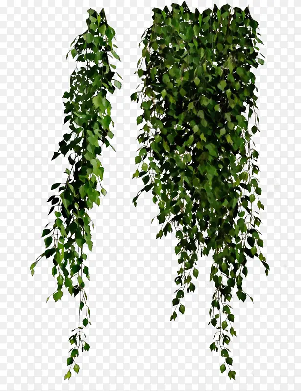 ˮ�ʻ� ���� ʪī-������