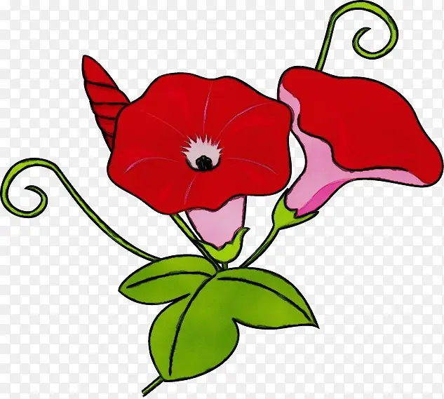 ˮ�ʻ� ���� ʪī-������