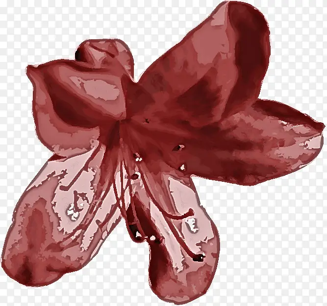 �ۺ�ɫ ��ɫ ����-������