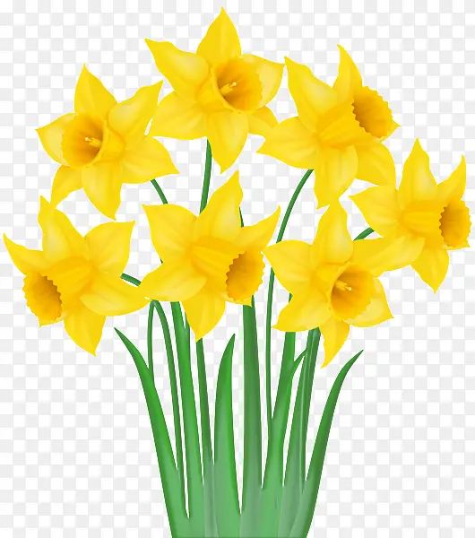 ��ɫ �� �л�-������