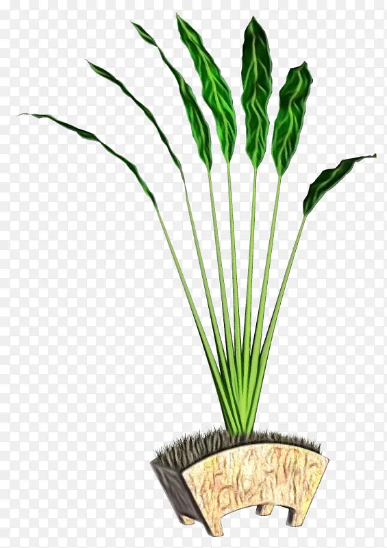 ˮ�ʻ� ���� ʪī-������