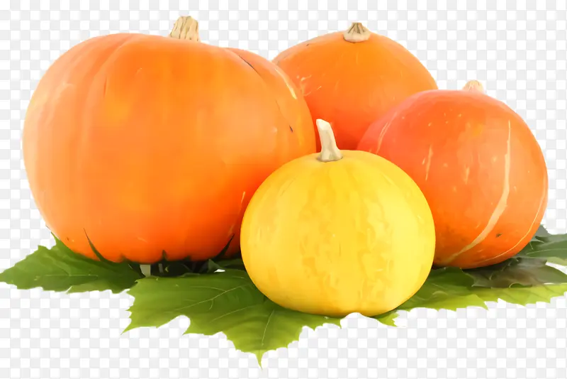 ��ȻʳƷ ʳƷ �Ϲ�-������