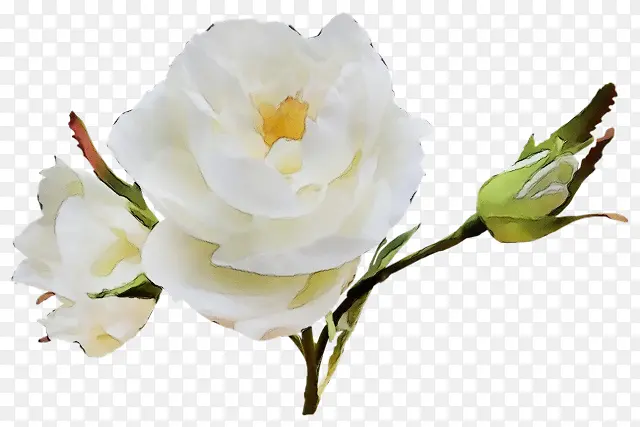 ˮ�� ���� ʪī-������