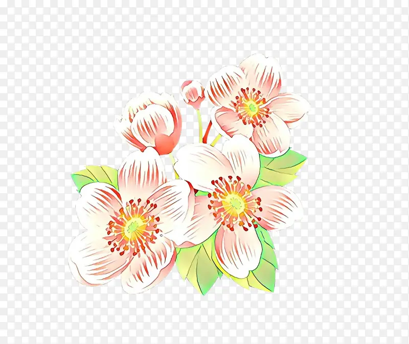 ��ͨ ��ɫ ����-������