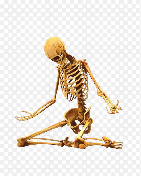 ��ͨ �Ǽ� ����-������