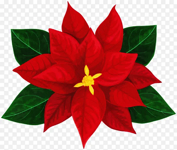 �� ��ɫ ����-������