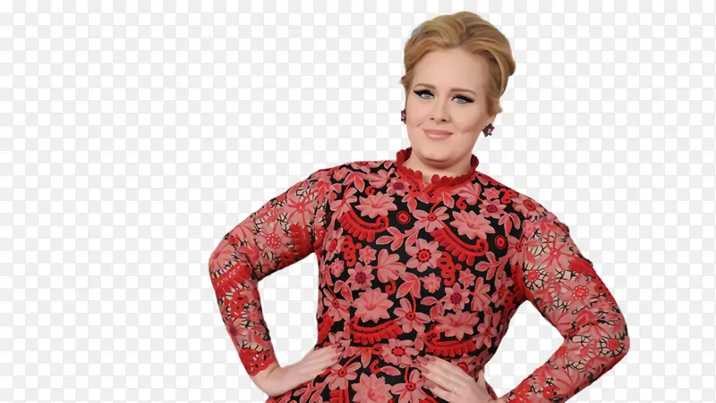 ��װ ���� ��ɫ-������