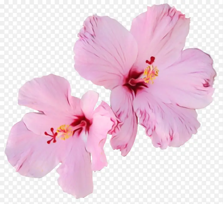 ˮ�� ���� ʪī-������