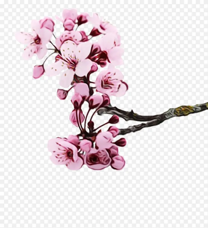 ˮ�� ���� ʪī-������