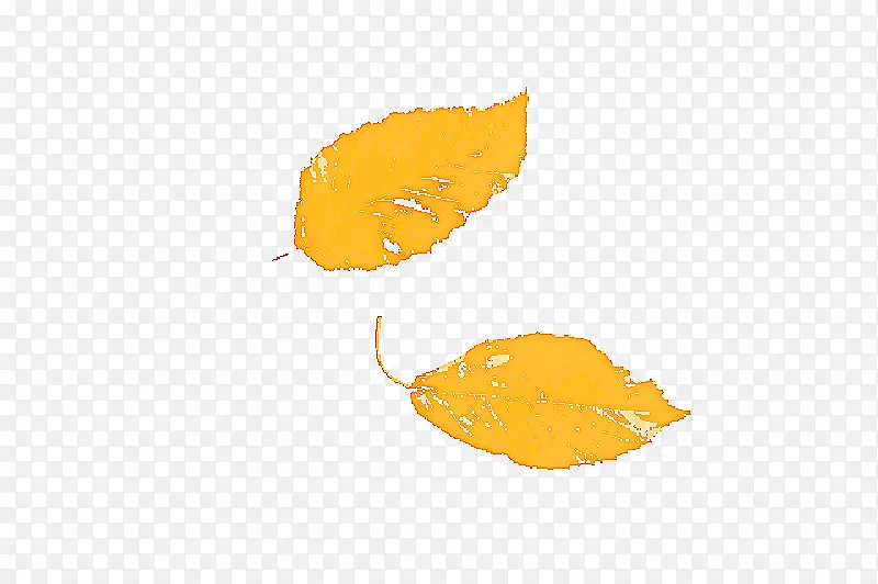 ��ɫ ��ɫ ��־-������