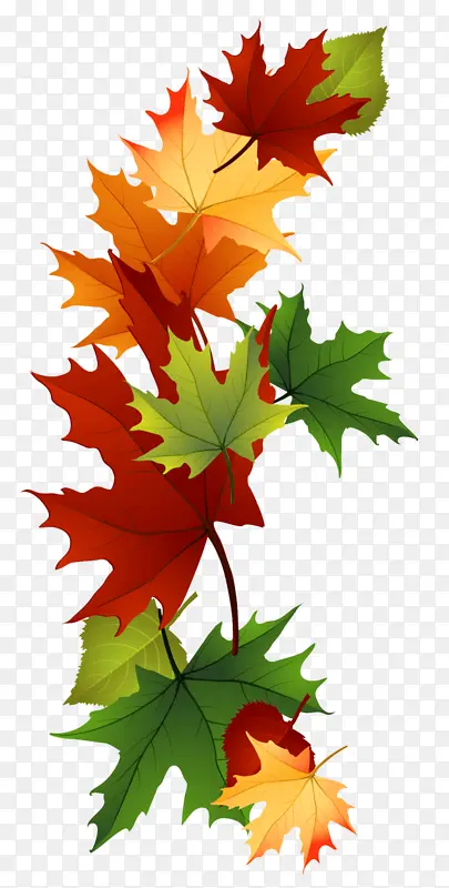 ��Ҷ ��Ҷ ��ľ-������