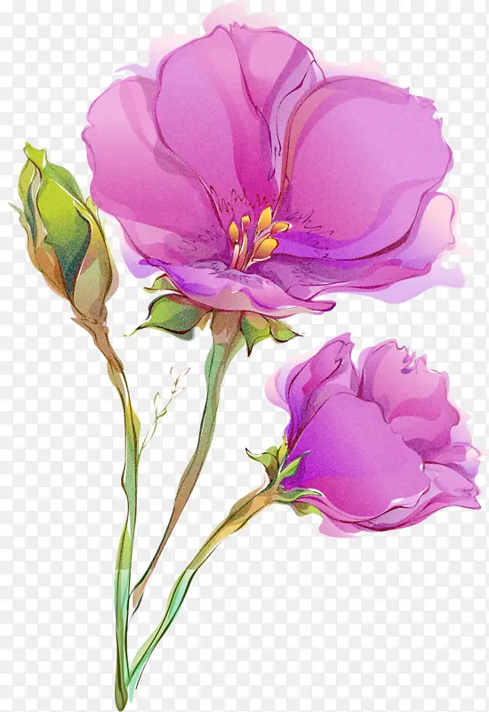 ���� ����ֲ�� ����-������