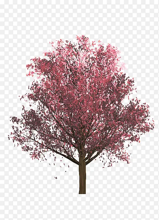 �� ֲ�� ľ��ֲ��-������