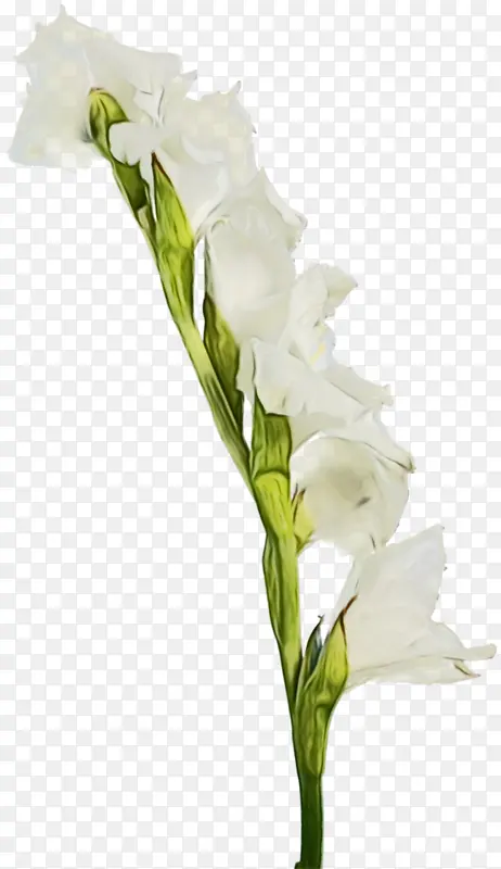 ˮ�� ���� ʪī-������