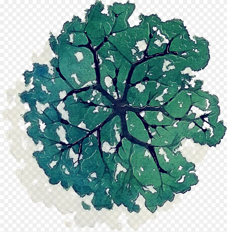 ��ɫ Ҷ�� ��-������