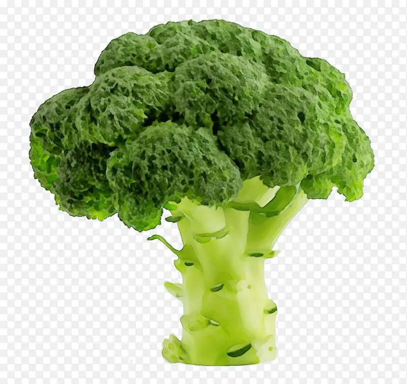 ˮ�� ���� ʪīˮ-������