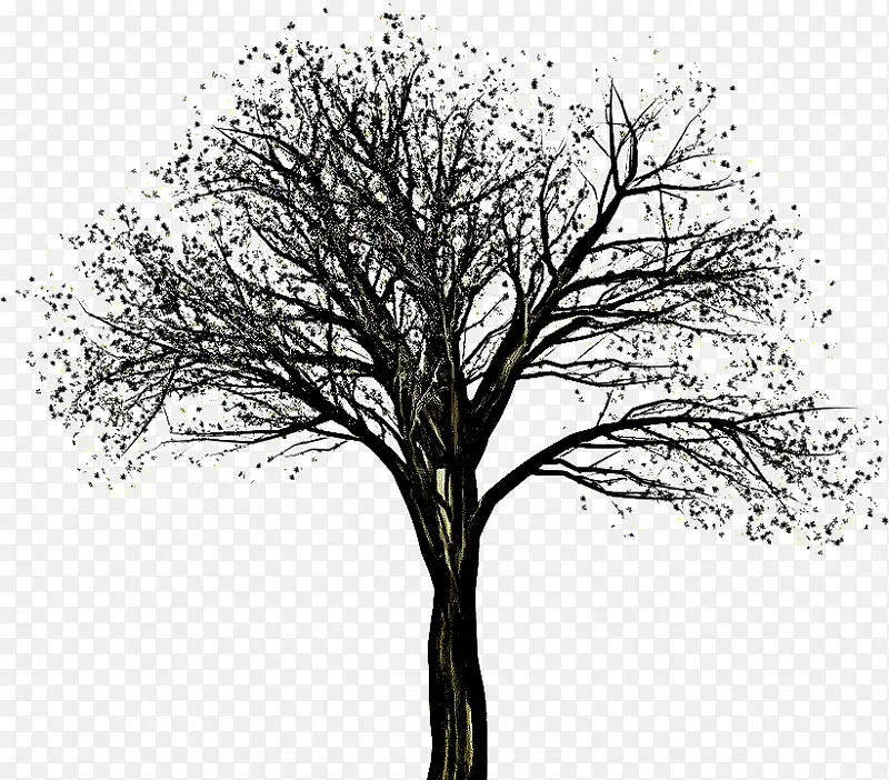 ��ľ ��֦ ľ��ֲ��-������