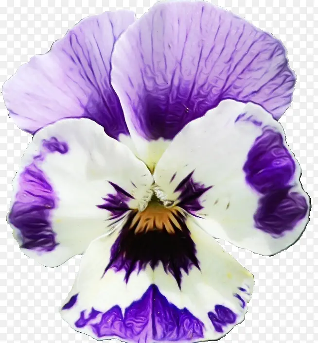 ˮ�ʻ� ���� ʪī-������