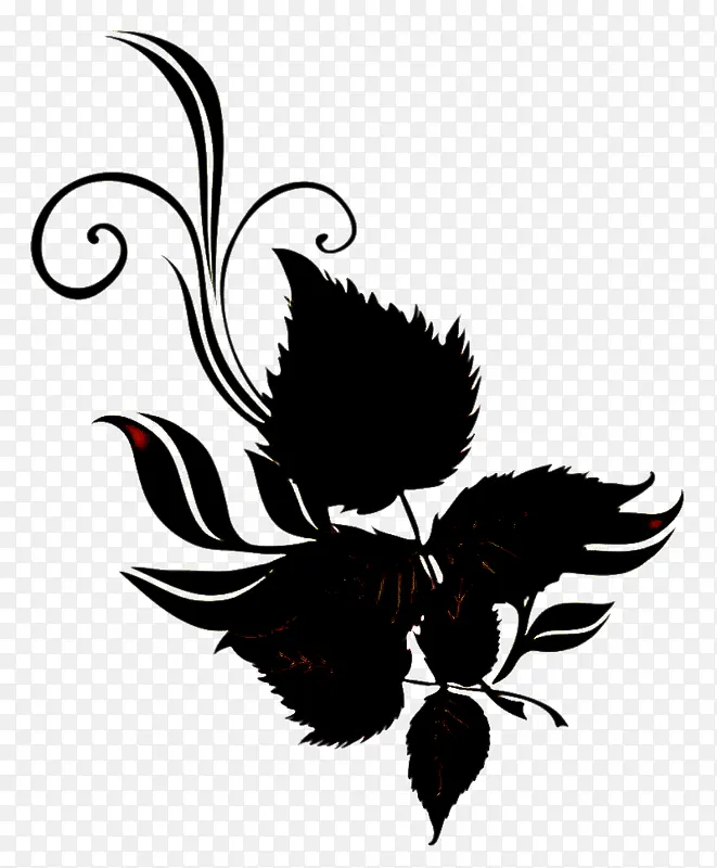 ��ë Ҷ�� ���-������