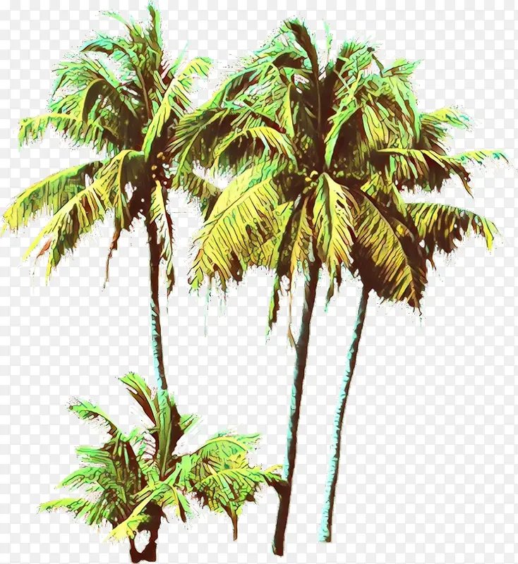 ��ͨ �� ֲ��-������