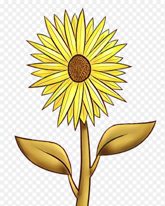 ��ͨ ���տ� ��ɫ-������