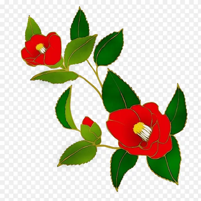 ˮ�ʻ� ���� ʪī-������