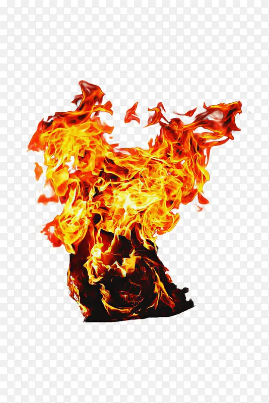 ���� ��ɫ-������