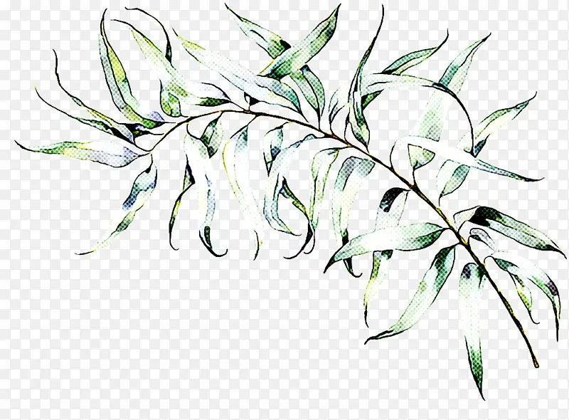 ֲ�� Ҷ ��-������