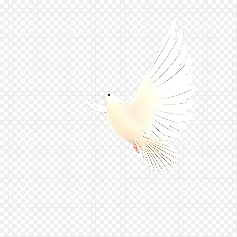 ��ͨ ��ɫ ���-������