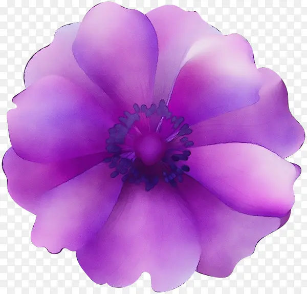 ˮ�ʻ� ���� ʪī-������