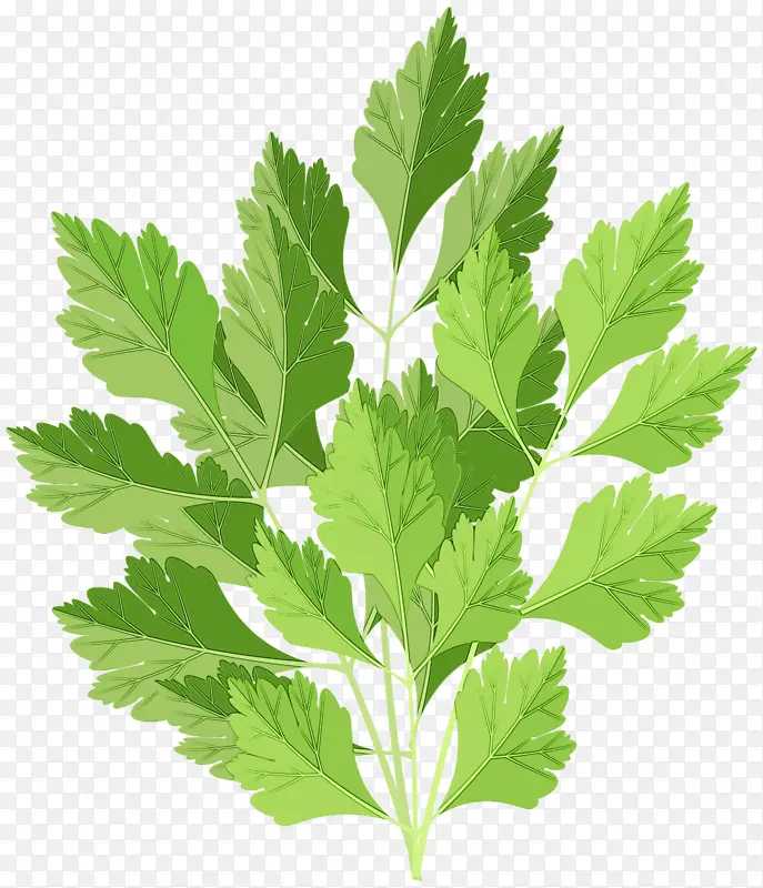 ˮ�ʻ� ���� ʪī-������