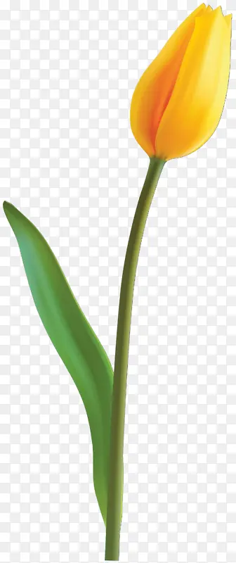 ��ͨ ���� ������-������