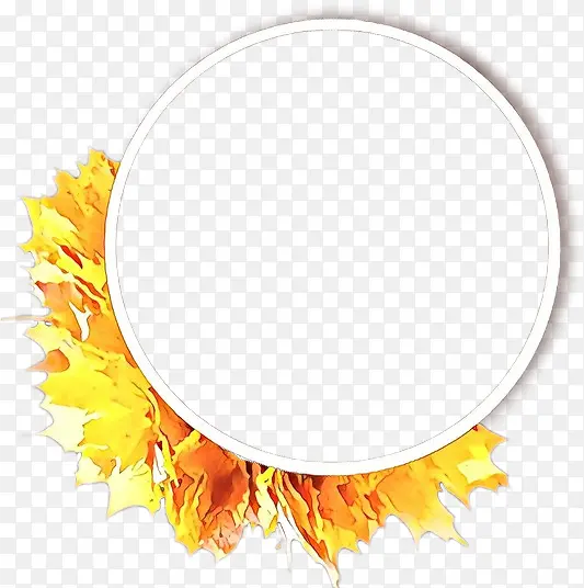 ��ͨ ��ɫ ��ɫ-������