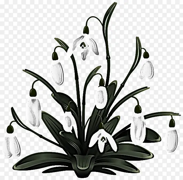 ֲ�� �� �ڰ�-������