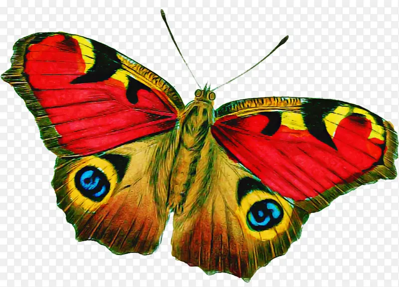 �ɶ�ͺ��� ���� ����-������