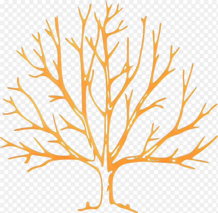 ��ͨ �� ��֦-������