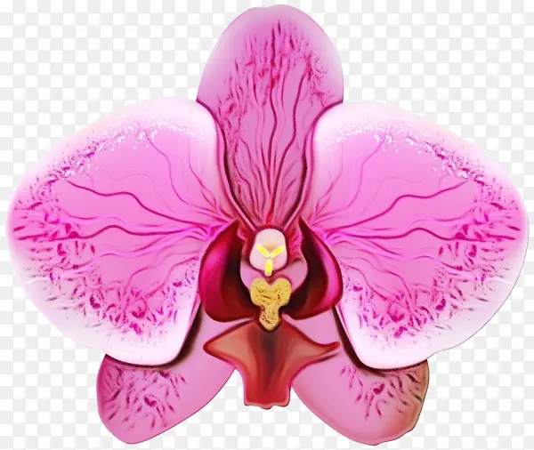 ˮ�ʻ� ���� ʪī-������