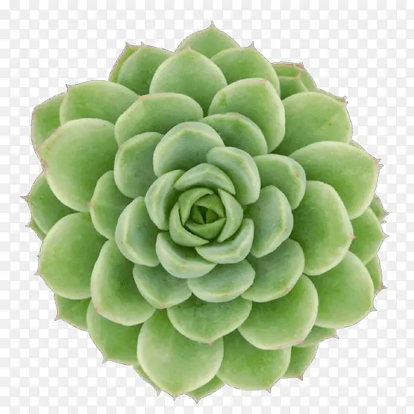 ��ͨ ���� ����ά����-������